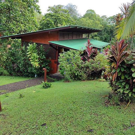 Hotel Finca Maresia Drake Bay Exterior photo